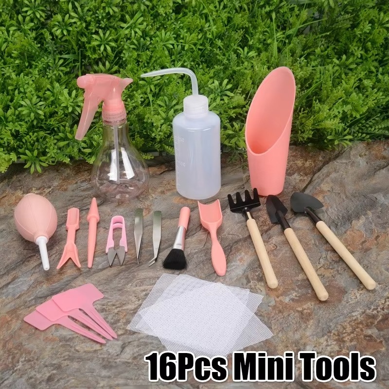 Bonsai Zen Garden Set - Kit d'outils de jardinage miniature 2026,