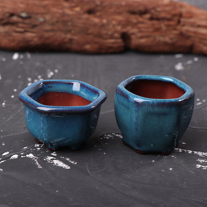 Bonsai Garden With Sand - Mini pots de fleurs avec trous,