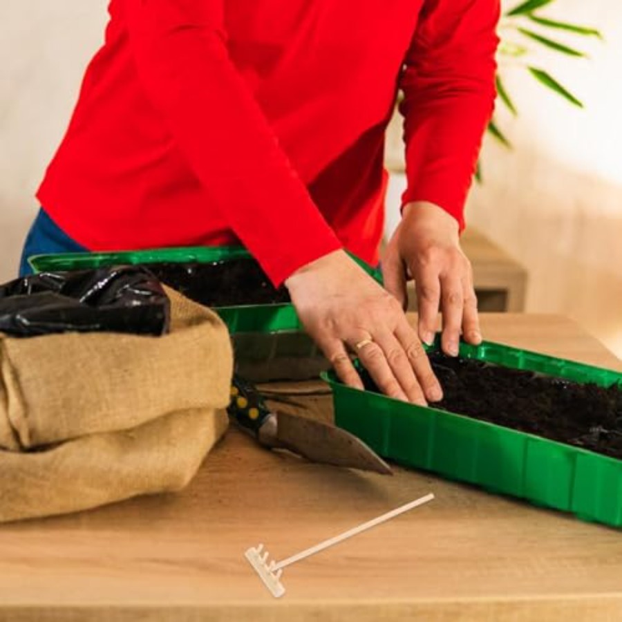 Ensemble de mini-raquettes en  - Bonsai Zen Garden Set avis et prix
