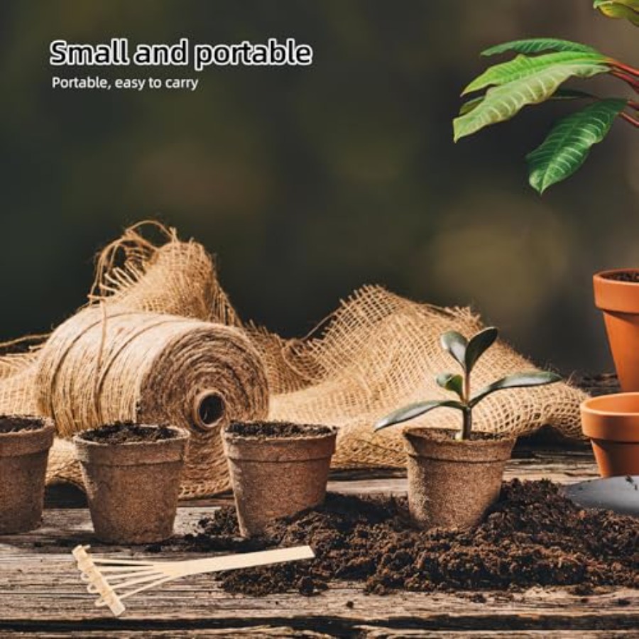 Ensemble de mini-raquettes en  - Bonsai Zen Garden Set avis et prix