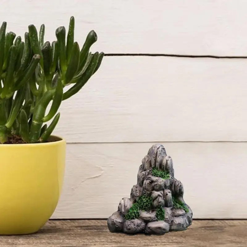 Accessoires de jardin féerique - Bonsai Rock Garden avis et prix