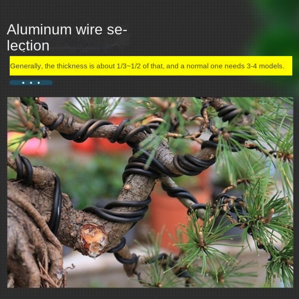 Fil d'aluminium pour bonsaï, f - Bonsai Wire Aluminum avis et prix