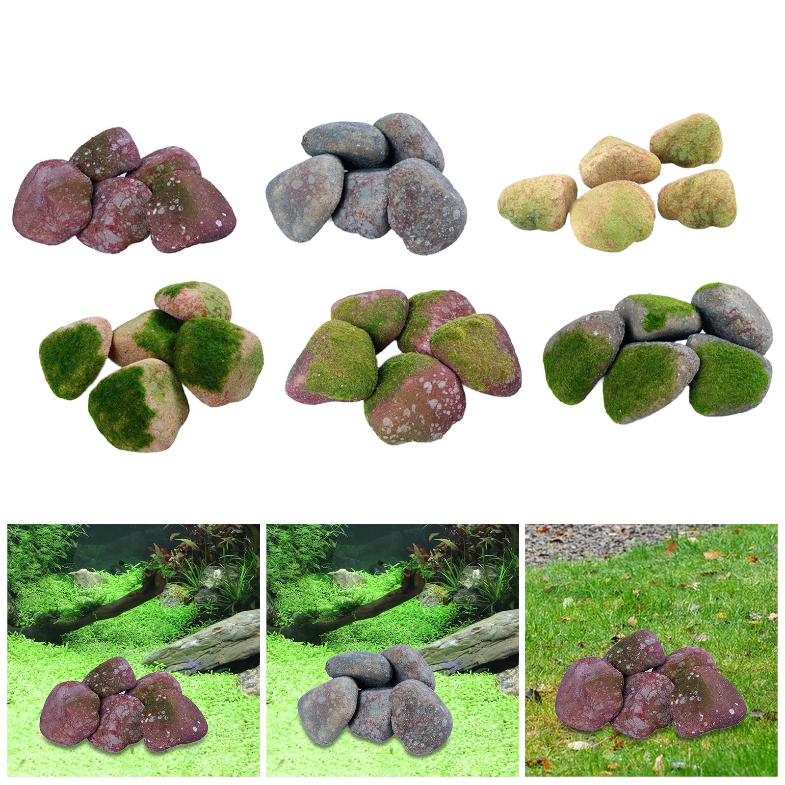 5x faux roches pour diorama, r - Bonsai Rock Garden avis et prix
