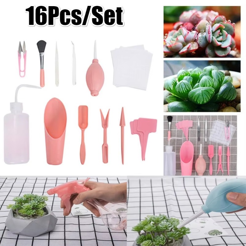 Kit d'outils de jardinage mini - Bonsai Zen Garden Set avis et prix