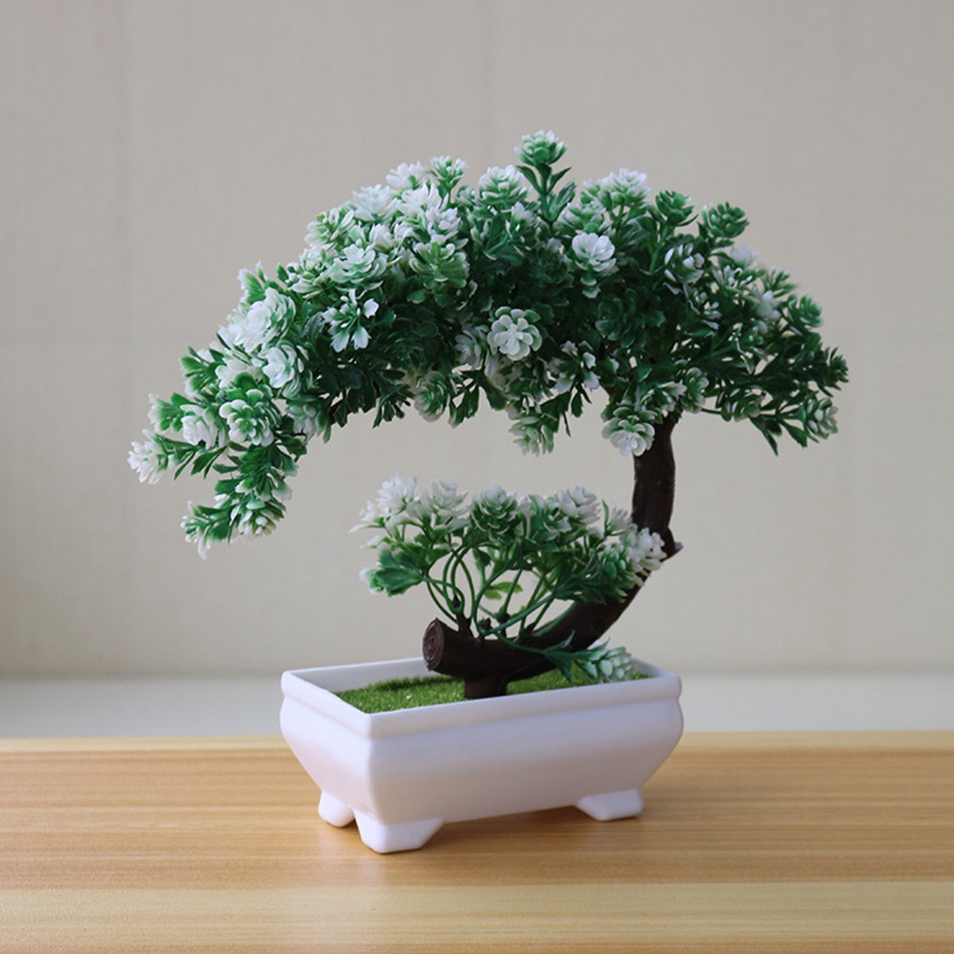Ornement bonsaï en plastique p - Bonsai Garden Table avis et prix
