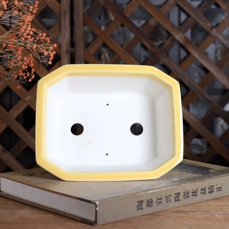 Pot à Bonsaï Rectangle en Porc - Bonsai Garden Table avis et prix