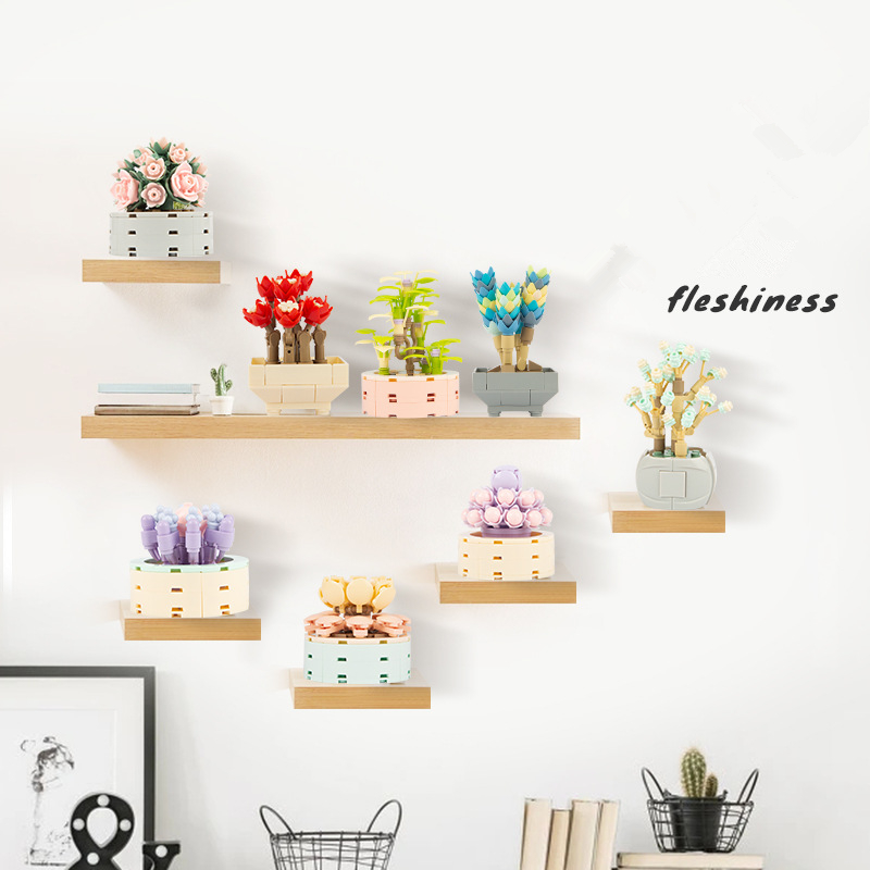 Bricolage MOC plantes succulen - Bonsai Garden Experts avis et prix