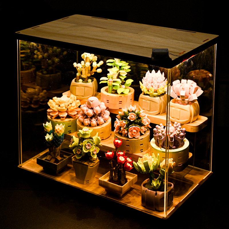 Bricolage MOC plantes succulen - Bonsai Garden Experts avis et prix