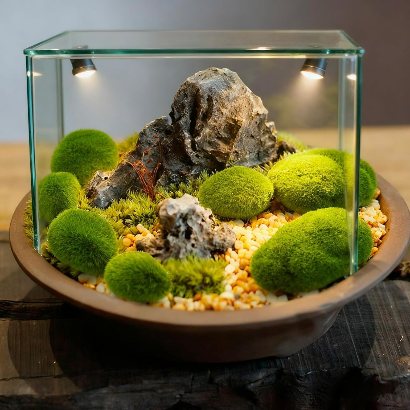 50/5 PIÈCES Pierres artificiel - Bonsai Rock Garden avis et prix