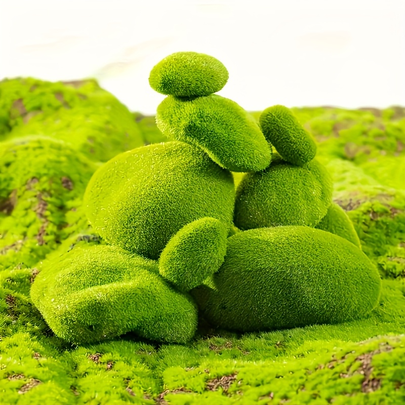 12 pierres artificielles en mo - Bonsai Rock Garden avis et prix