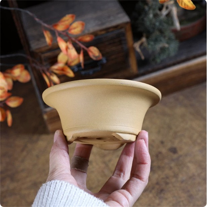 Petit pot en poterie brute en  - Bonsai Garden With Sand avis et prix
