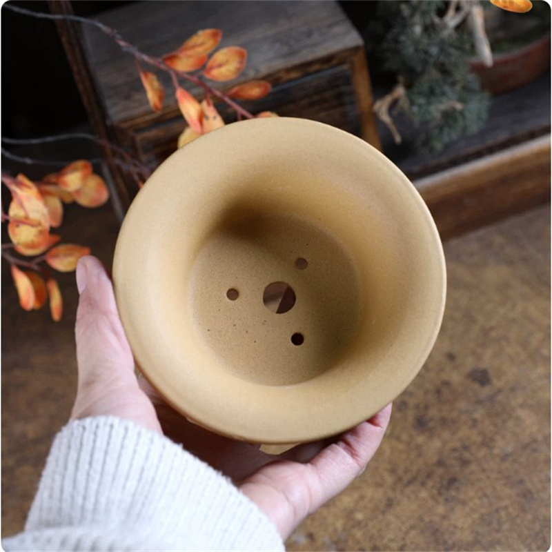 Petit pot en poterie brute en  - Bonsai Garden With Sand avis et prix