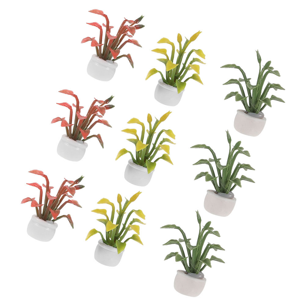 9 Pièces de Plantes Miniatures - Bonsai Garden With Sand avis et prix
