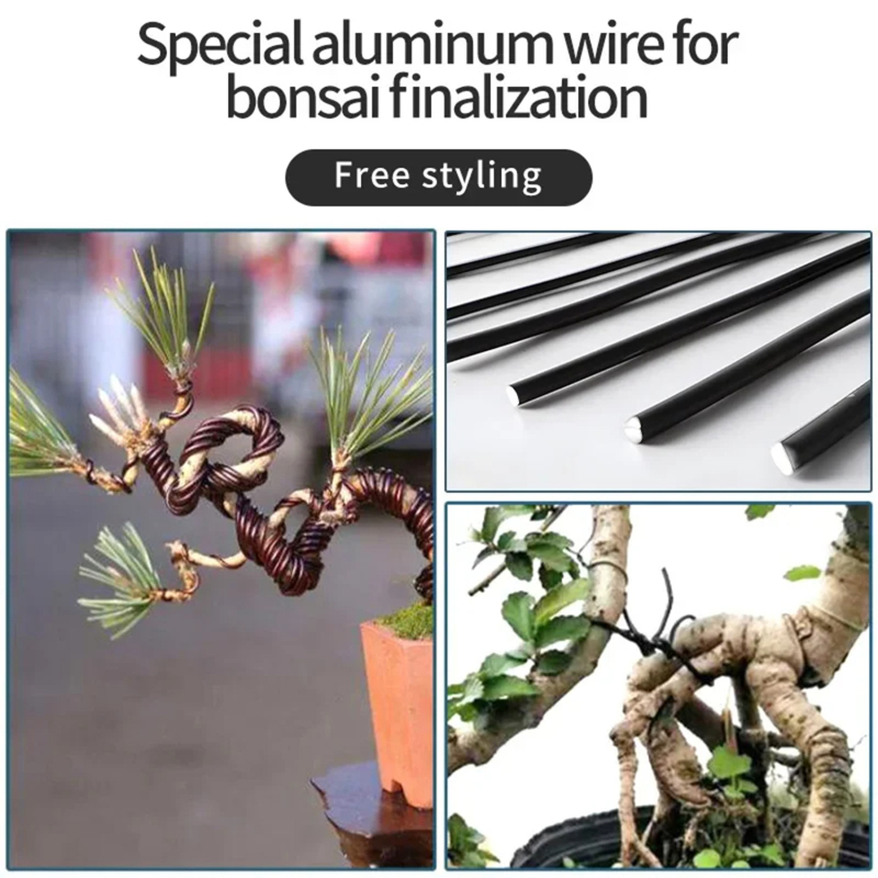 Fil de bonsaï de 5m, support p - Bonsai Wire Aluminum avis et prix
